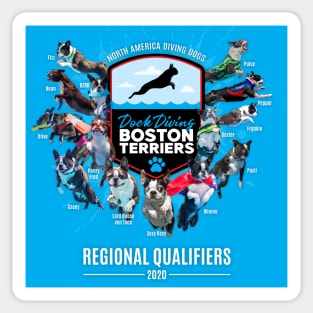 Dock Diving Boston Terriers - Regionals Edition Sticker